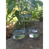 Verre T Punch PARIPARI