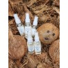Huile de coco vierge BIO 50ml