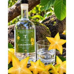Eau de vie de CARAMBOLE